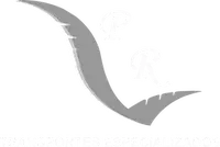 logo pr transportes bco